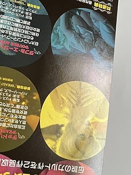 Amazon.co.jp: Chesty Morgan DVD TWINPACK Deadly Weapon Double